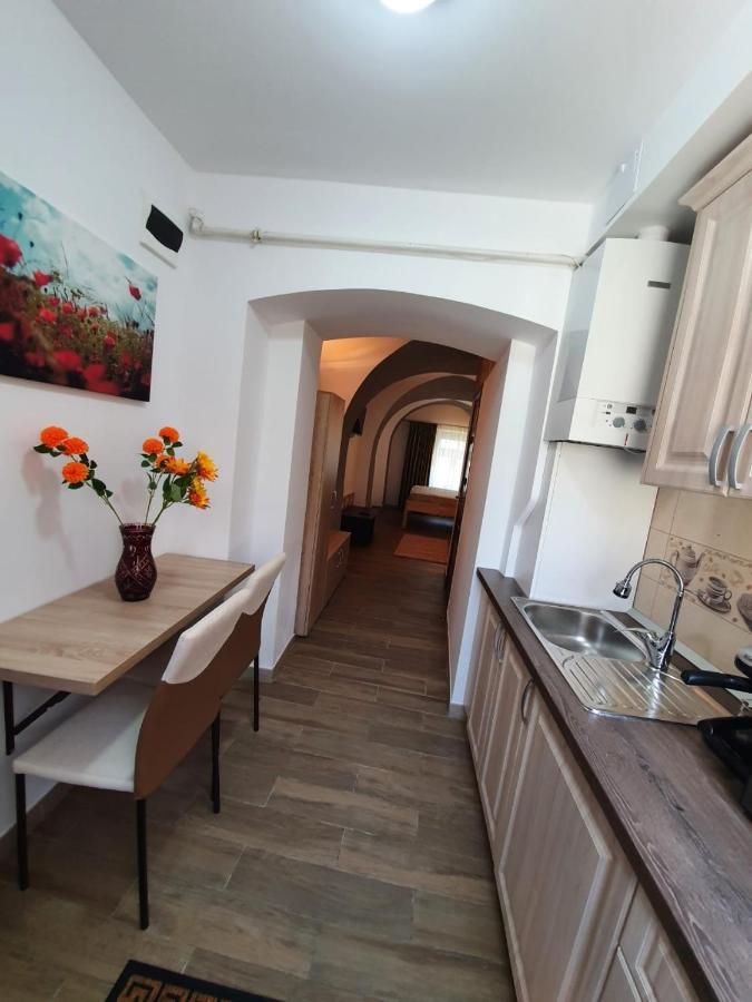 Radu Apartament Sibiu Exterior foto