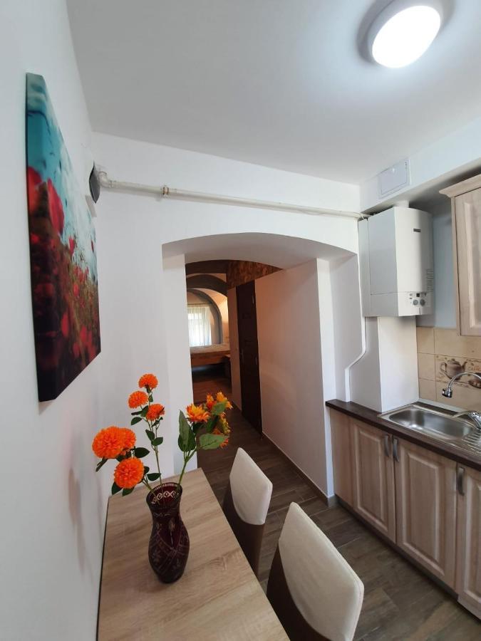 Radu Apartament Sibiu Exterior foto